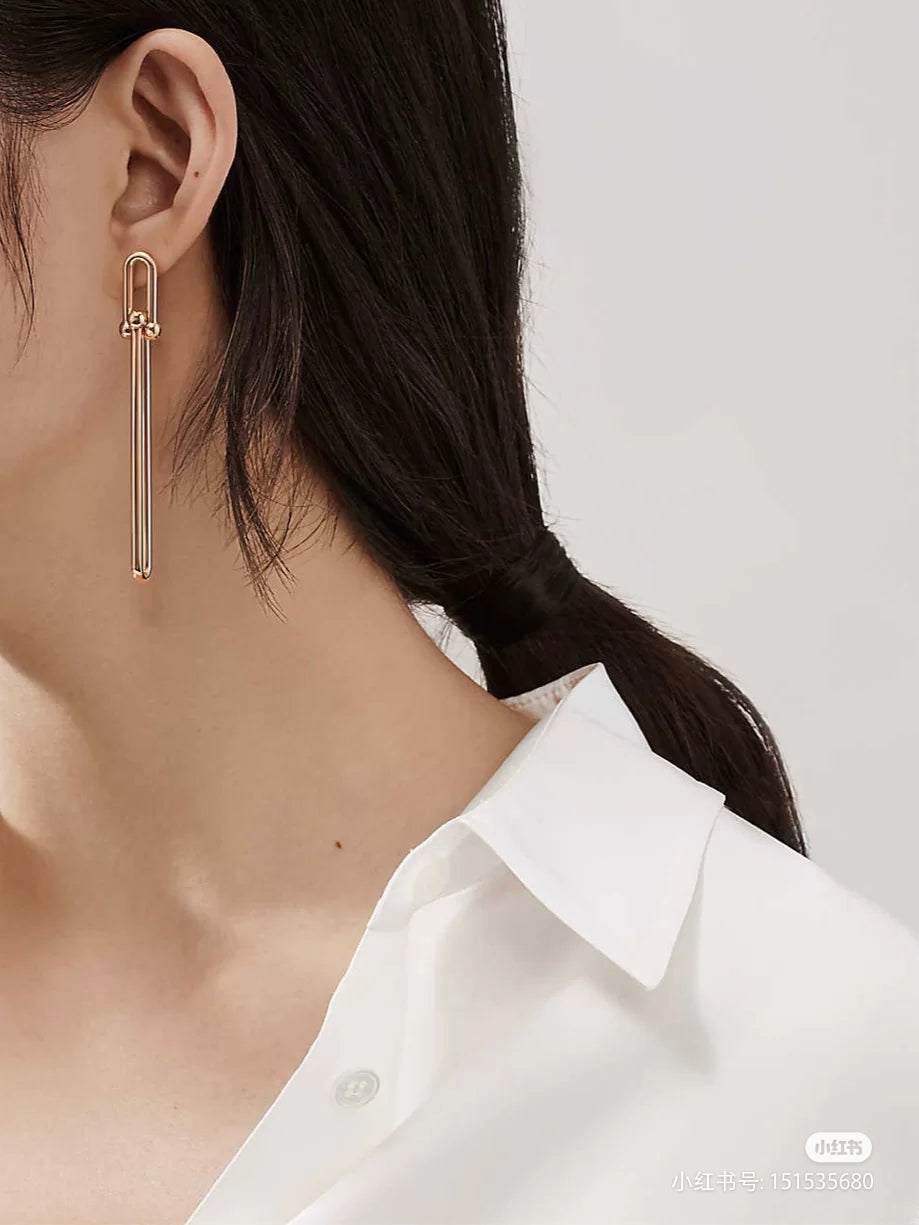 [⭐JeweliWhal]HARDWEAR DOUBLE LONG LINK EARRINGS