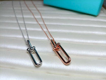 [⭐JeweliWhal]HARDWEAR DROP DOUBLE LINK PEDANT NECKLACE