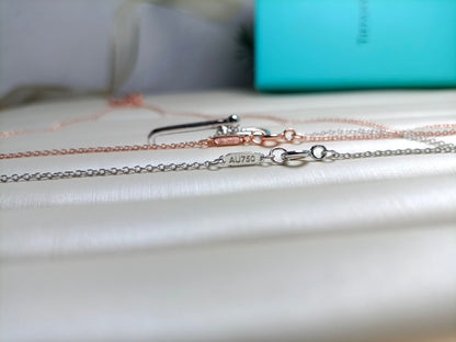 [⭐JeweliWhal]HARDWEAR DROP DOUBLE LINK PEDANT NECKLACE