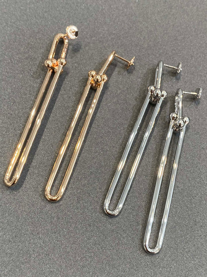 [⭐JeweliWhal]HARDWEAR DOUBLE LONG LINK EARRINGS