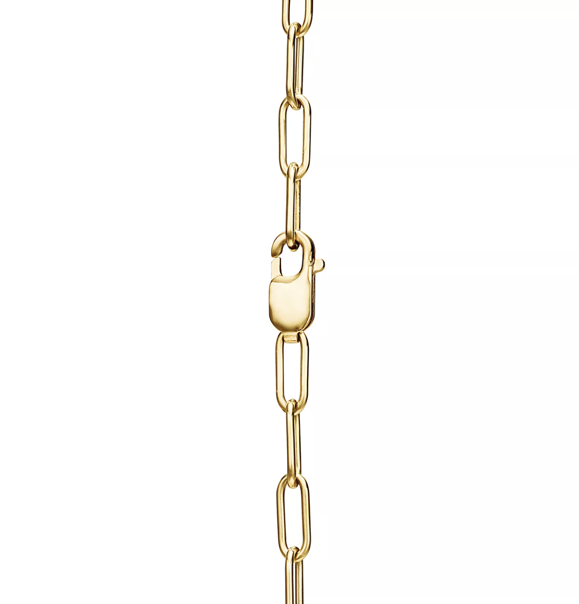 [⭐JeweliWhal]LOCK NECKLACE GOLD