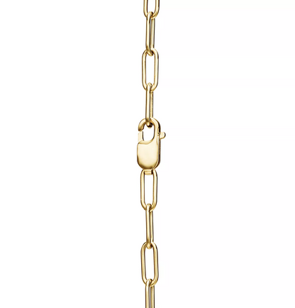 [⭐JeweliWhal]LOCK NECKLACE GOLD