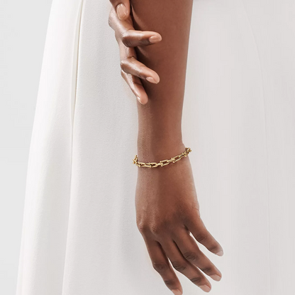 [⭐JeweliWhal]HARDWEAR SMALL LINK 26 MOTIF GOLD BRACELET