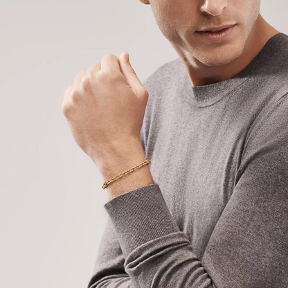 [⭐JeweliWhal]HARDWEAR SMALL LINK 26 MOTIF GOLD BRACELET
