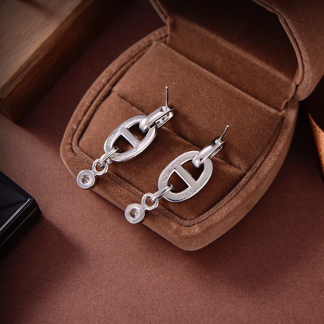 [⭐⭐JeweliWhal]HM CHAINE DIAMOND EARRINGS