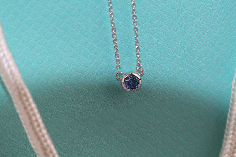 [⭐JeweliWhal]ELSA PERETTI SERIES SINGLE DIAMOND SIMPLE NECKLACE