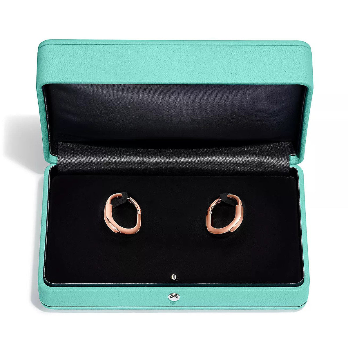 [⭐JeweliWhal]LOCK MEDIUM DIAMNOND EARRINGS