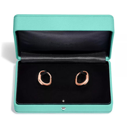 [⭐JeweliWhal]LOCK MEDIUM DIAMNOND EARRINGS