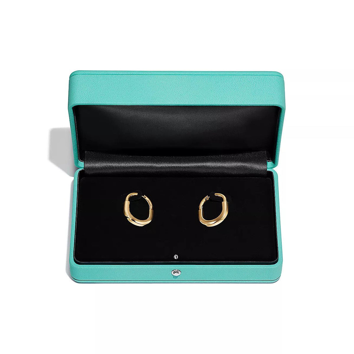 [⭐JeweliWhal]LOCK MEDIUM EARRINGS