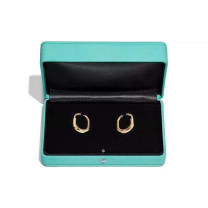 [⭐JeweliWhal]LOCK MEDIUM EARRINGS